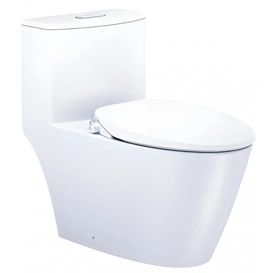 Bồn cầu 1 khối nắp rửa cơ Caesar CD1363/TAF060