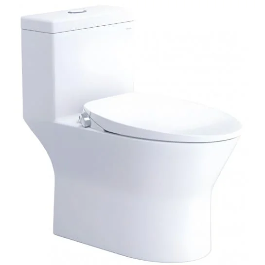 Bồn cầu 1 khối nắp rửa cơ Caesar CD1374/TAF060