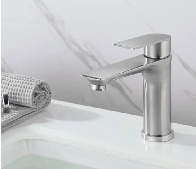 Vòi chậu rửa mặt Clean Max 541291CR