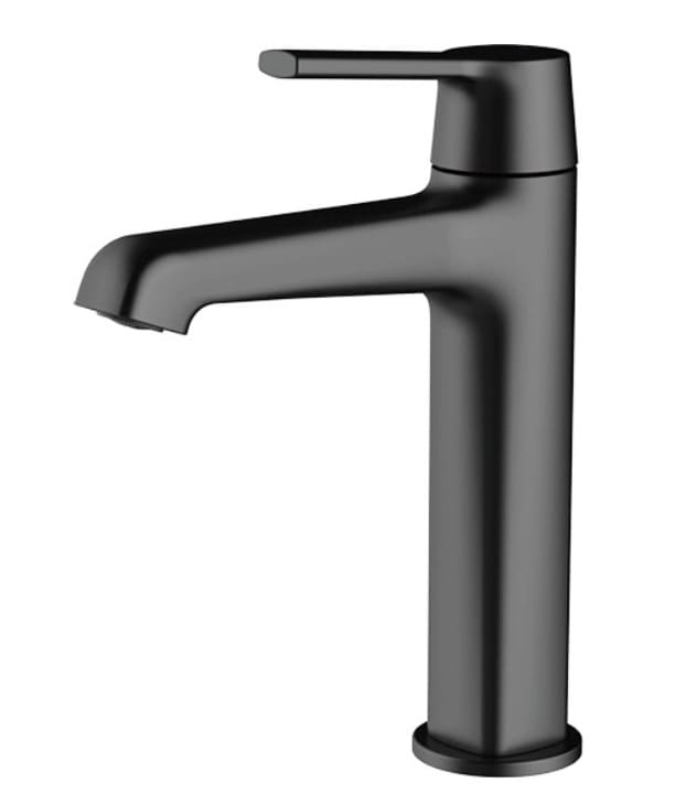 Vòi chậu rửa mặt màu đen Clean Max V655