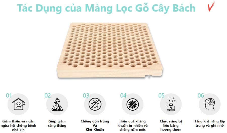 Tác dụng của màng lọc cây gỗ Bách trên máy lọc không khí Vovo M-001B