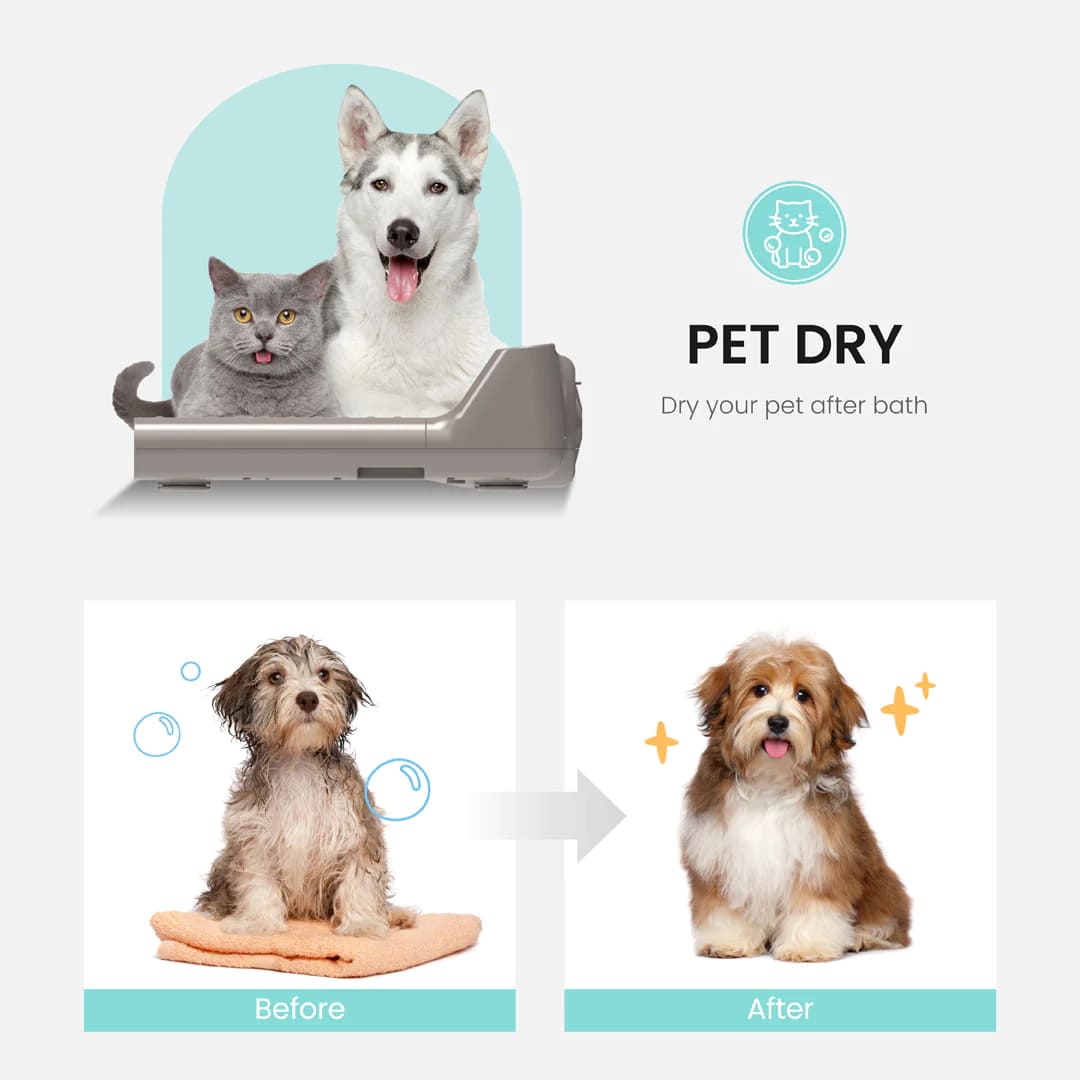 Máy sấy cơ thể Vovo BD-7700G