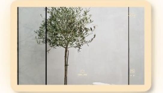 Gương đèn led ánh sáng ngoài GLS M35R64