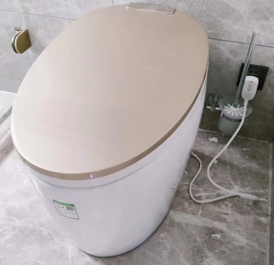 Bồn Cầu Điện Tử CleanMax ECS989VT