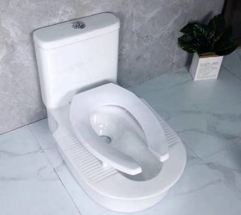 Bồn Cầu Xổm Liền Khối CleanMax BX2001