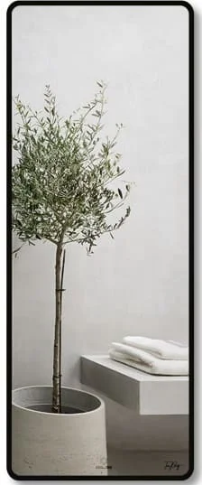 Gương soi toàn thân GLS F11R70 viền nhôm đen