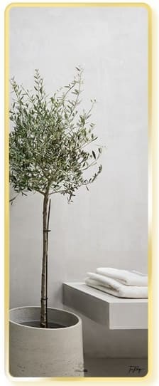 Gương soi toàn thân Mifaco M60161 viền nhôm vàng