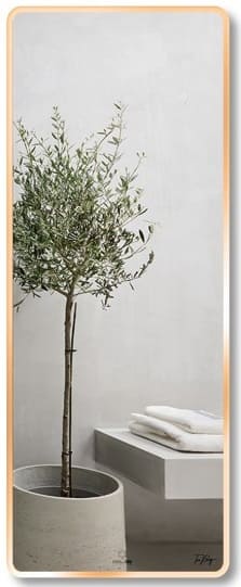 Gương soi toàn thân Mifaco M60162 viền nhôm hồng