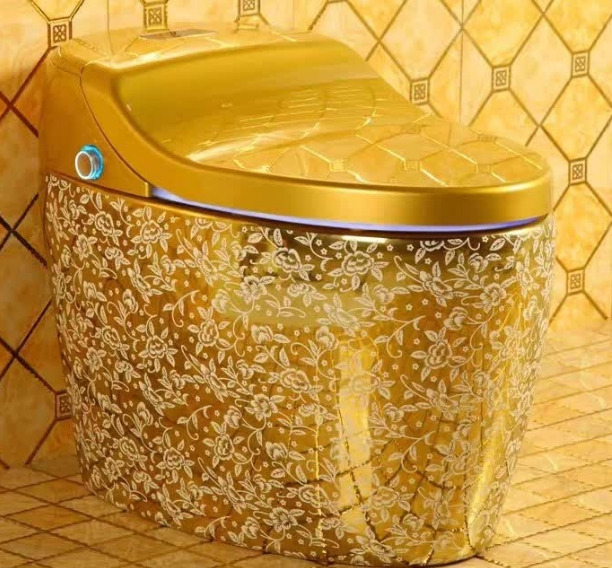 Bồn Cầu Mạ Vàng CleanMax CLM11002 