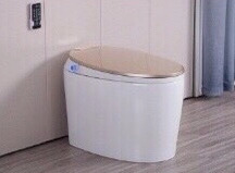 Bồn Cầu Điện Tử CleanMax ECAWA2201