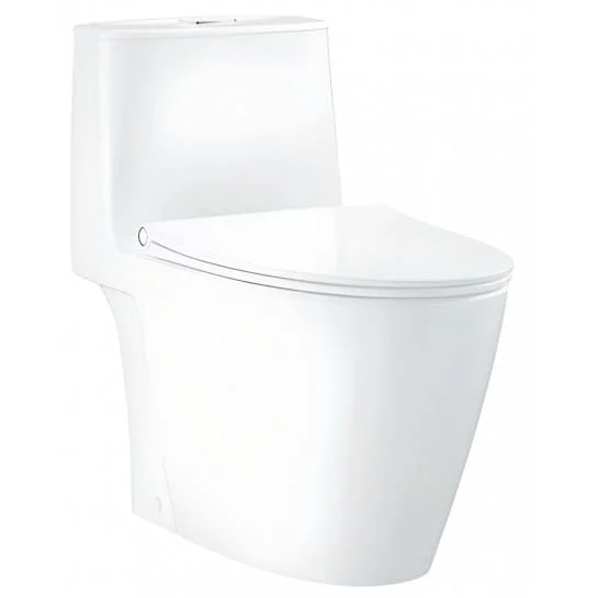 Bồn Cầu 1 Khối Nhập Khẩu Đức Grohe 39990000