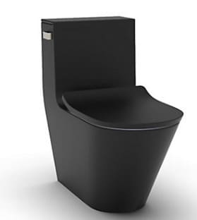 Bồn Cầu Một Khối Nắp Êm Brazin Kohler K-EX22379T-SL-HB1