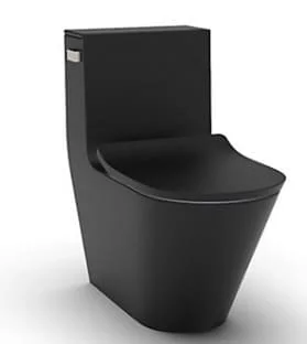 Bồn Cầu Một Khối Nắp Êm Brazin Kohler K-EX22379T-SL-HB1