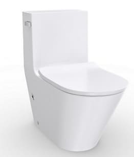 Bồn Cầu Một Khối Nắp Êm Brazin Kohler K-EX22379T-SL-0