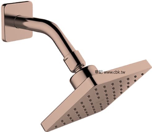 Đầu sen vuông kèm thanh cấp nước Kohler Parallel K-22645T-RGD