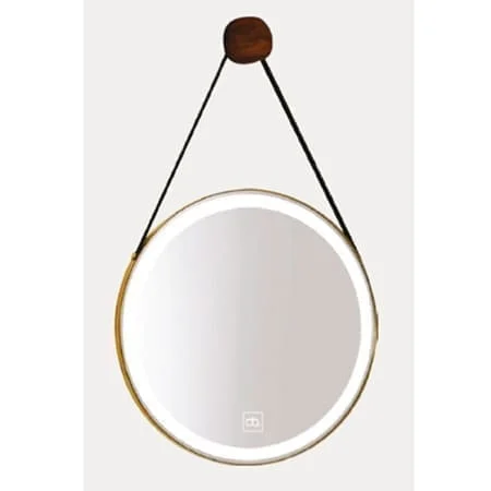 Gương dây da cảm ứng đèn led Đình Quốc ĐQ 69016A (500x700mm)