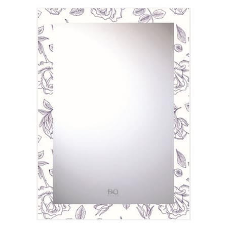 Gương phòng tắm Đình Quốc ĐQ 4188 (500x700mm)  