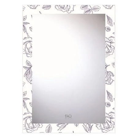 Gương phòng tắm Đình Quốc ĐQ 4188 (500x700mm)