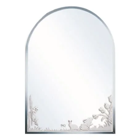 Gương phòng tắm Đình Quốc ĐQ 4236 (450x600mm)