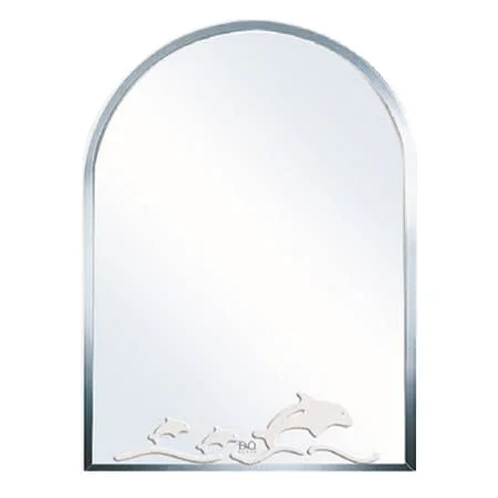 Gương phòng tắm Đình Quốc ĐQ 4570 (500x700mm) 