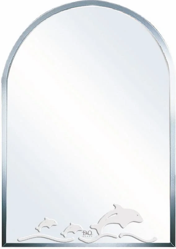 Gương phòng tắm Đình Quốc ĐQ 4569 (500x700mm) 