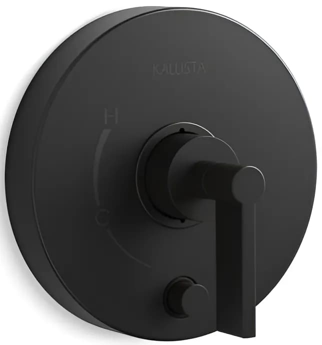 Mặt nạ điều chỉnh Kallista P24416-LV-BL