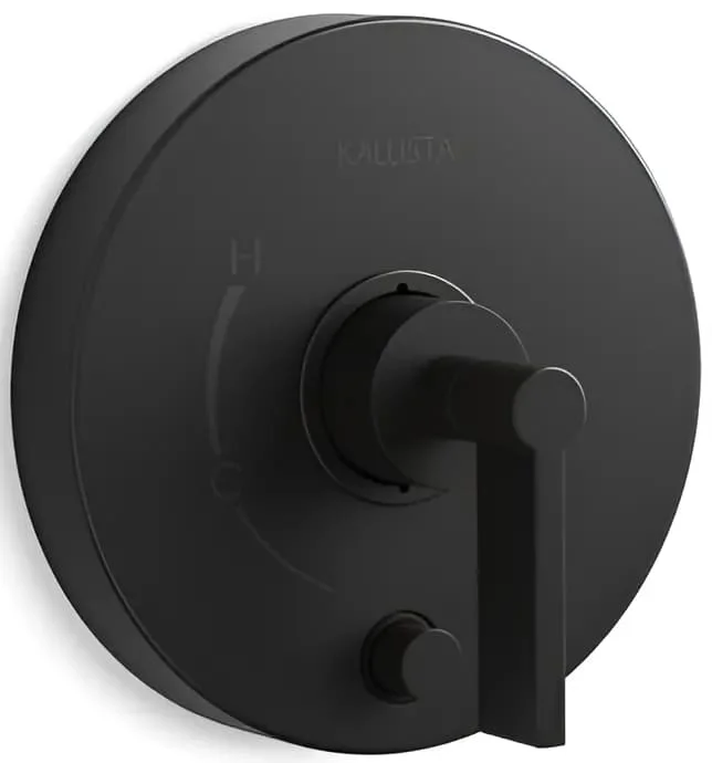 Mặt nạ điều chỉnh Kallista P24416-LV-BL