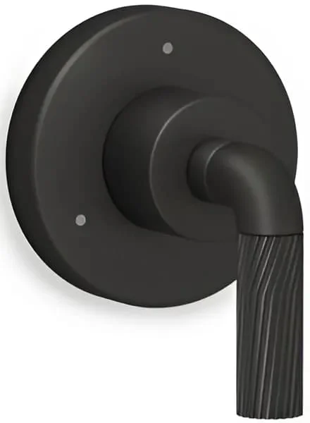 Mặt nạ chuyển đổi Kallista P40878-LV-BL
