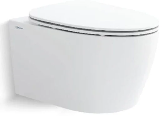 Bồn cầu treo tường Viglacera V.13.HL2