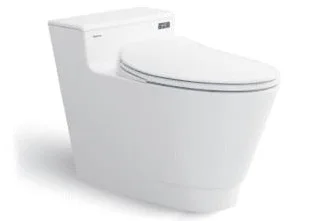 Bồn cầu 1 khối nắp rơi êm Platinum P.10.500