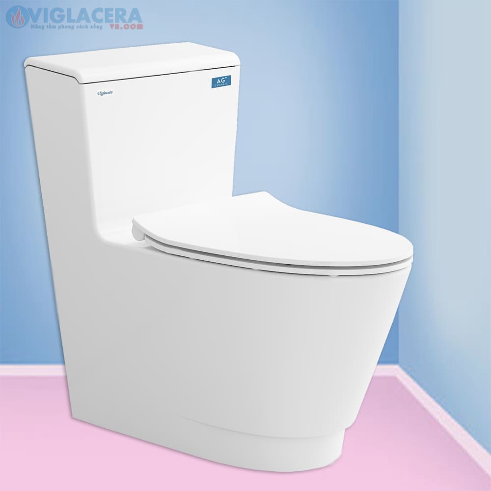 Bồn cầu 1 khối nắp rơi êm Platinum P.11.500