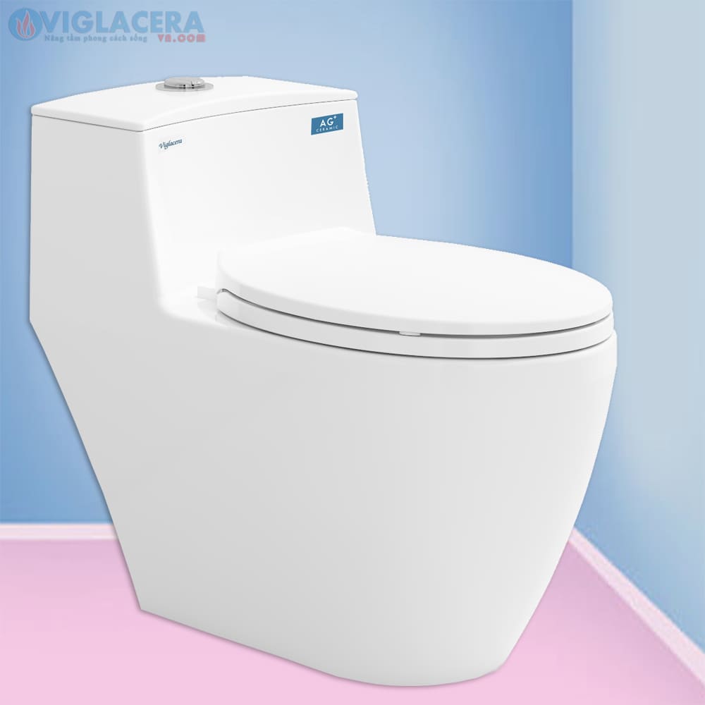 Bồn cầu 1 khối nắp rơi êm Viglacera Eco 1