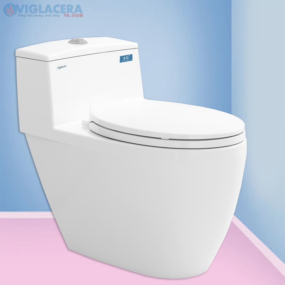 Bồn cầu 1 khối nắp rơi êm Viglacera Eco 2