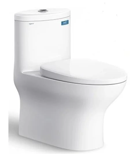 Bồn cầu 1 khối Viglacera V37S