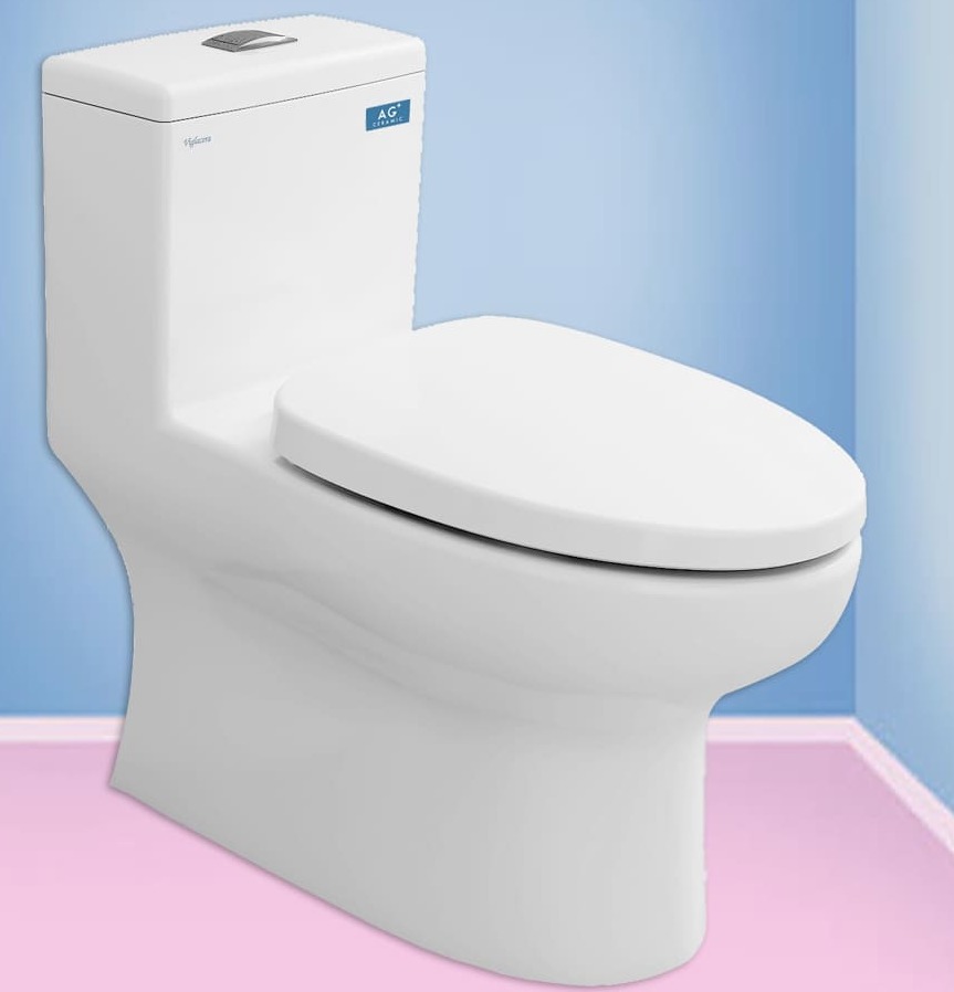 Bồn cầu 1 khối nắp rơi êm Viglacera V809