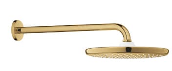 Bát Sen Tắm Gắn Tường Đức Grohe 26668GL0