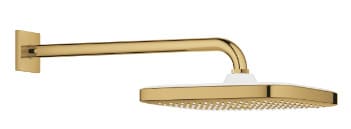 Bát Sen Tắm Gắn Tường Đức Grohe 26687GL0