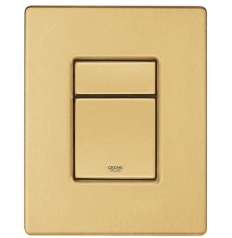 Mặt Nút Nhấn Xả Bồn Cầu Nhập Khẩu Đức Grohe 39732GN0
