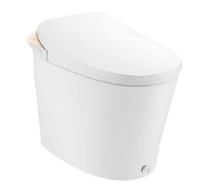 Bồn cầu thông minh Moen HKSW1294C