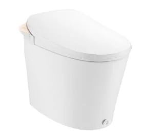Bồn cầu thông minh Moen HKSW1294C