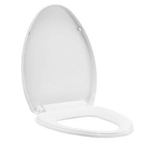 Nắp bàn cầu nhựa Moen SW9091