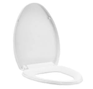 Nắp bàn cầu nhựa Moen SW9091
