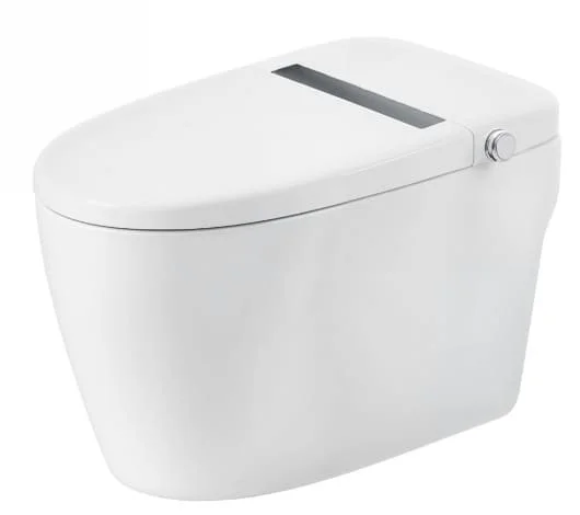 Bồn cầu thông minh BRAVAT C29001W1-3-VP