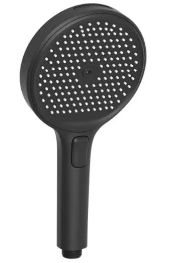 Bát sen tắm đa chức năng Bravat D1249BW-ENG