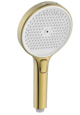 Bát sen tắm đa chức năng Bravat D1249KVF-ENG