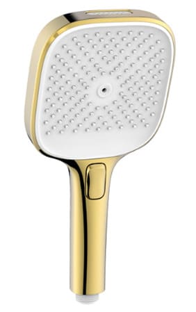 Bát sen tắm đa chức năng Bravat D1251KVF-ENG 