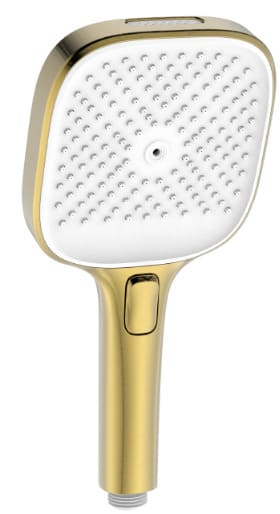 Bát sen tắm đa chức năng Bravat D1251RBG-ENG 