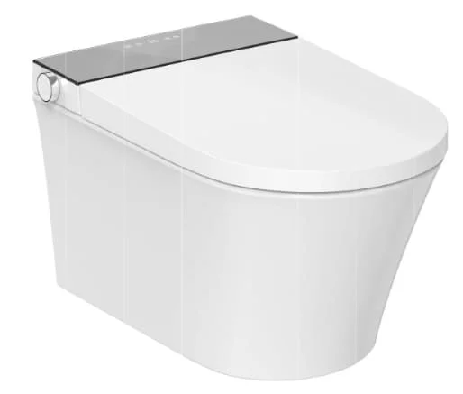 Bồn cầu thông minh BRAVAT C29003W3-VP