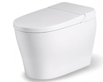 Bồn cầu thông minh BRAVAT C29019W0-3-2-ENG