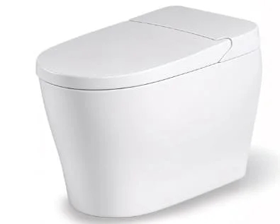 Bồn cầu thông minh BRAVAT C29019W0-3-2-ENG